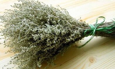 Wormwood comme moyen de lutter contre les parasites