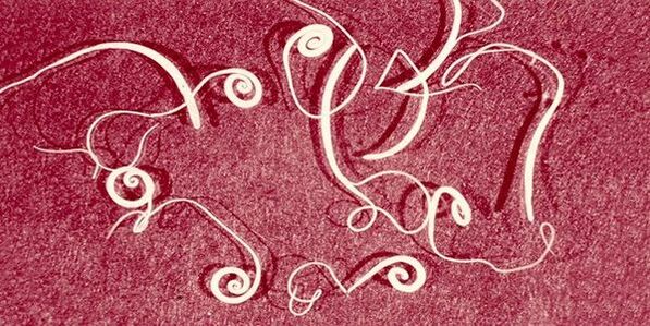 oxyures du corps humain