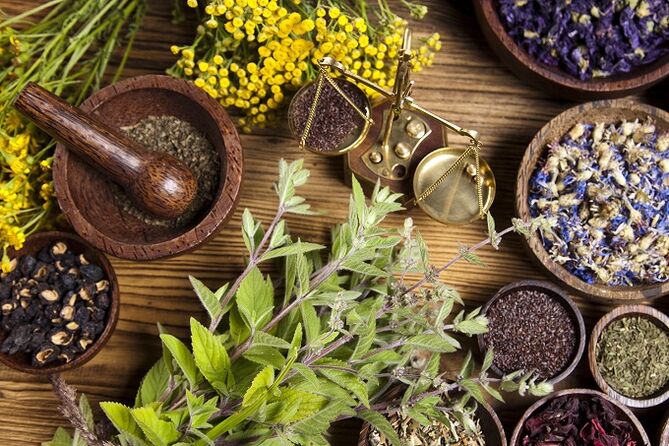 herbes pour éliminer les parasites du corps