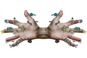 microbes parasites sur les mains humaines