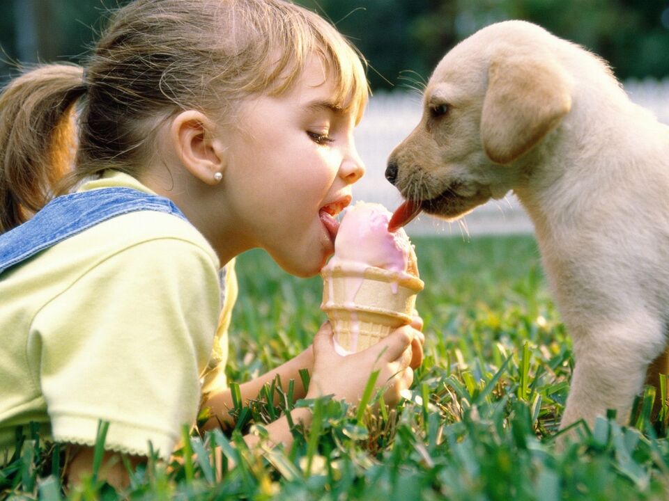 une fille et un chien mangent de la glace et sont infectés par des parasites
