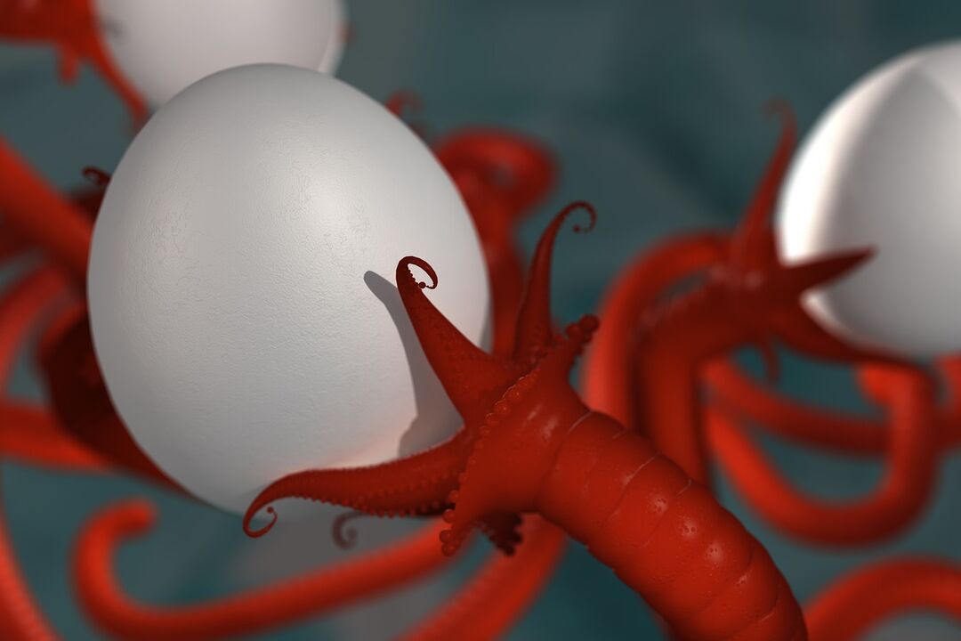 ver parasite des humains