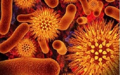 microorganismes parasites dans le corps humain
